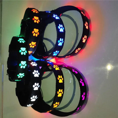 GlowPaw™ LED Dog Collar – Light-Up Safety Collar for Night Walks