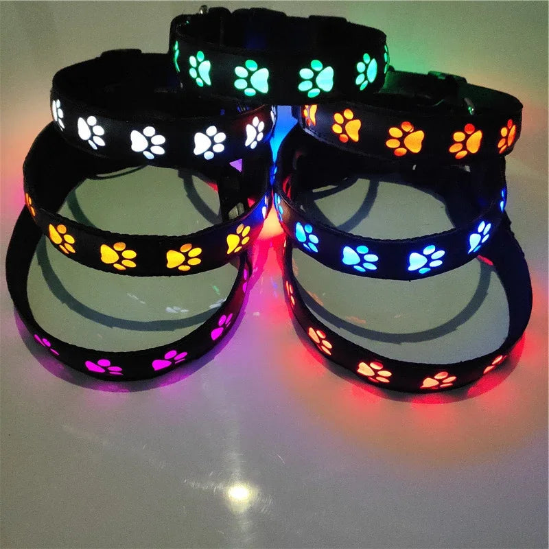 GlowPaw™ LED Dog Collar – Light-Up Safety Collar for Night Walks