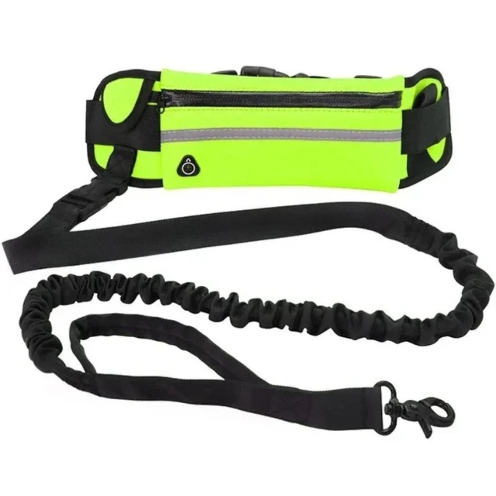 WoofRunner™ Hands Free Bungee Leash