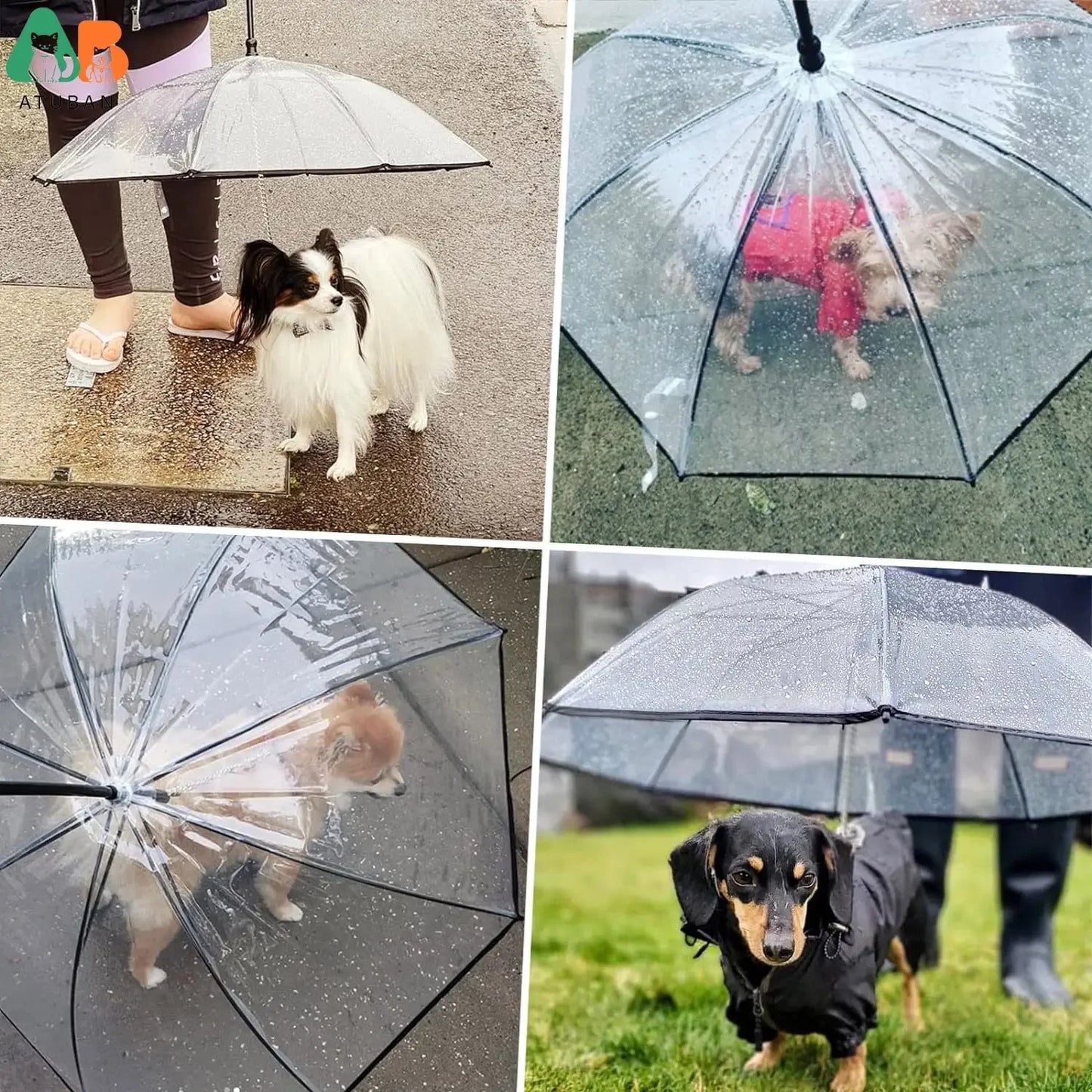 Dog Umbrella with Leash – Clear Pet Rain Protection for Small Dogs & Cats