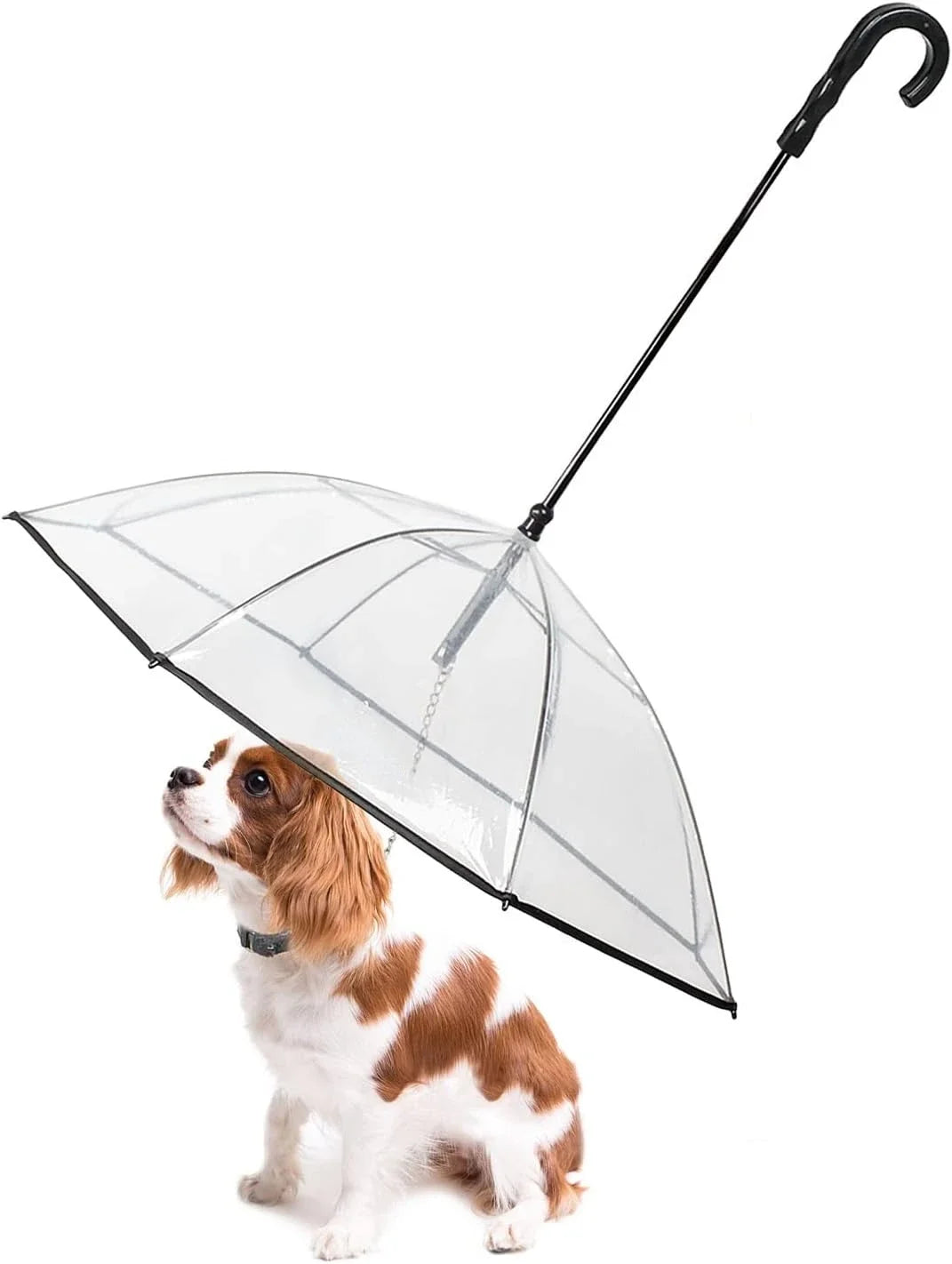 Dog Umbrella with Leash – Clear Pet Rain Protection for Small Dogs & Cats