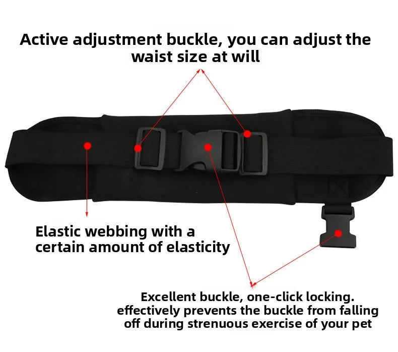 WoofRunner™ Hands Free Bungee Leash